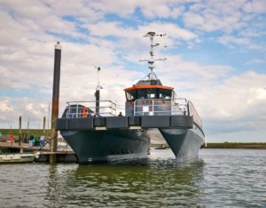 Image of CWind Fulmar